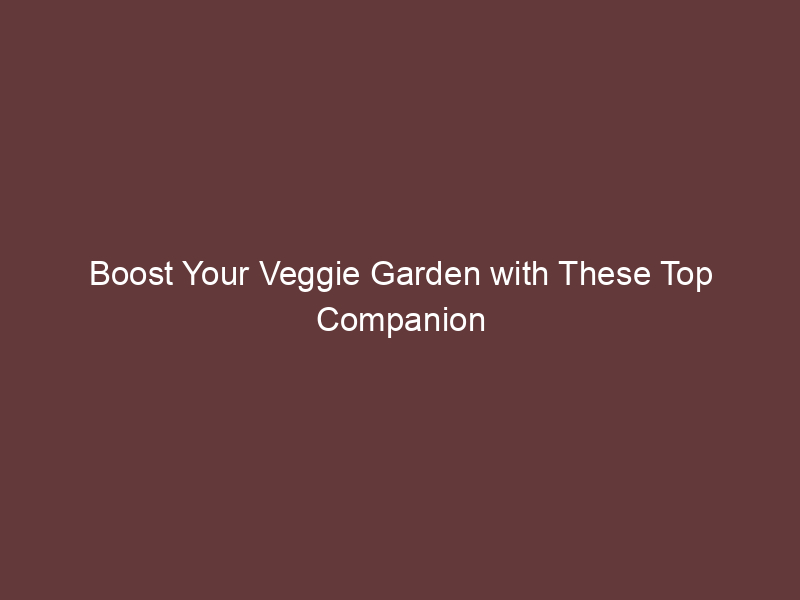 Boost Your Veggie Garden with These Top Companion Plants