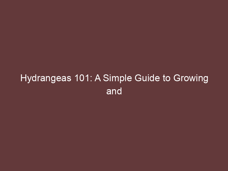 Hydrangeas 101: A Simple Guide to Growing and Nurturing